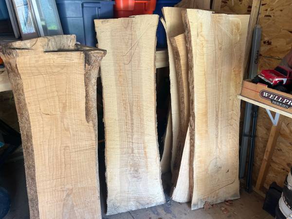 Live edge Ash 1