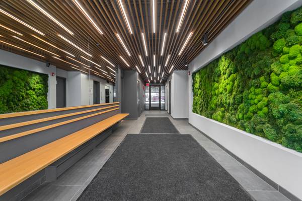 $2,895 Mid Cambridge Studio/1 Bath Apartment | Harvard St (Mid Cambridge)64213550252419120