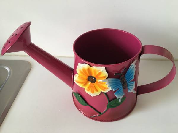 Decorative Metal Watering Can - $10 (Queens)63471239161859122