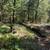 Custom Atrium Ranch on 38.4+/- Acres with Three Stocked Ponds 17 thumbnail