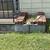 Foundation Basement. Waterproof. Blocklayer. Chimney Repair. Masonry. 15 thumbnail