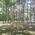 RV PARK ON ONE ACRE WITH FULL LEGAL HOOKUPS 8 thumbnail