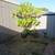 3 bed 1.5 Bath in Harbor Oaks 20 thumbnail