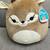 Squishmallow collection - new with tags 6 thumbnail