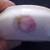 1920's Porcelain China Trinket Hair Receiver Bowl Dish German Prussia 3 thumbnail