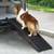 Pet Pal Foldable Plastic Dog Ramp 5 thumbnail