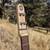 Daddy Mojo 4-String Cigar Box Guitar – Playboy Series with Hard Case 5 thumbnail