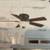 New Hampton Bay Hawkins II 44" LED Indoor Ceiling Fan! 2 thumbnail