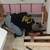 Handyman Pros. Painting lic. Ensurance 7 thumbnail
