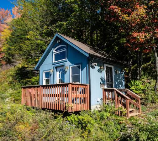 Teeny Tiny Cottage 1