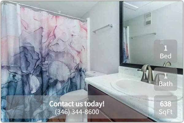 $1,000 / 1br - 638ft2 - For an amazing 1 BR near campus, look no further! (Houston)63924167519874121