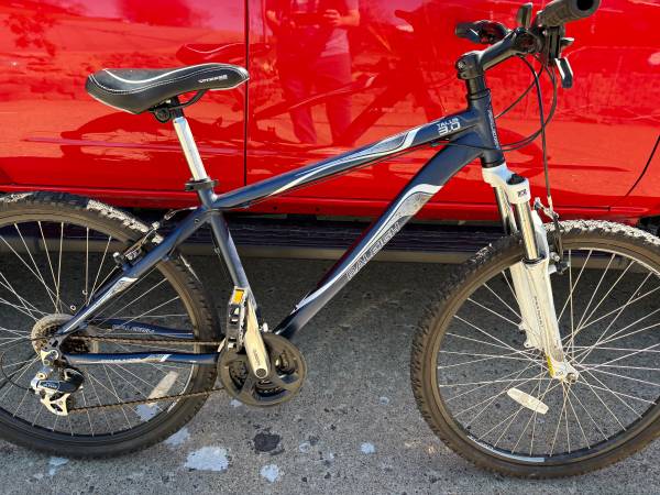 Raleigh 3.0 Mountain Bike 1
