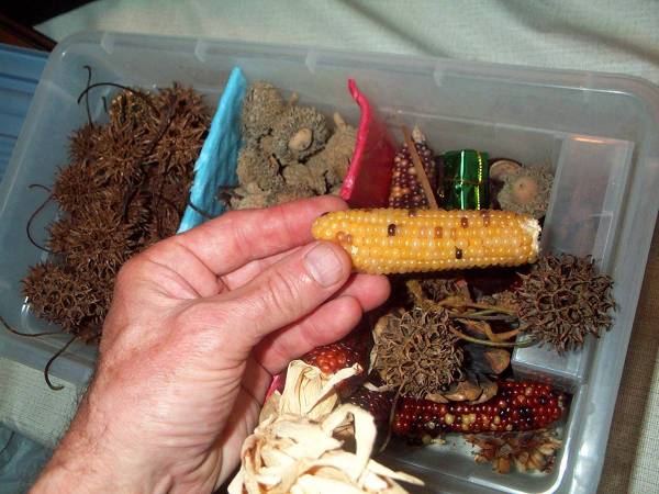 DECORATION LOT FALL Plastic Tub Halloween Decorations Corn Arts Crafts 1