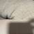 *** Genuine Flokati Wool Rug *** 2 thumbnail