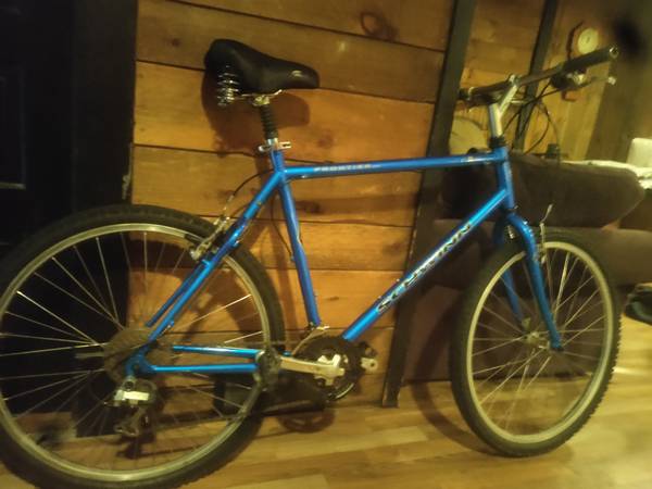 Beautiful Schwinn Frontier Bike 1