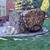 BULK FIREWOOD (PREMIUM HARDWOOD MIXED) GUARANTED TO FIT 16"-17" 8 thumbnail