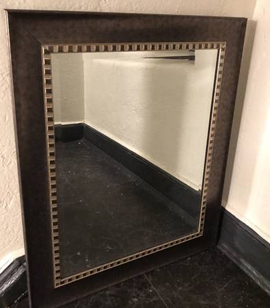 Emir Thick Aluminum Panel Beveled Wall Mirror 1