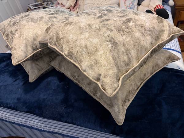 Decorative Pillows 1