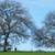 Historic Farm Homestead, 60 acres, Foothills 4 thumbnail