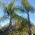 Ramirez the green landscaping maintenance n san diego areas 16 thumbnail