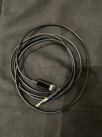 Apple Black Lightning to 3.5mm Audio Cord 1