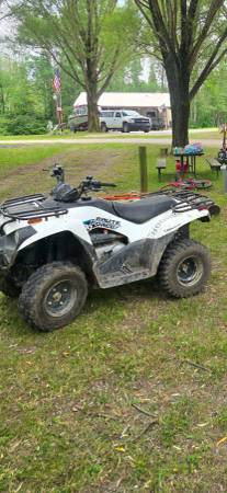 2022 Kawasaki Brute Force 300 1