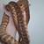 Adult male woma python 3 thumbnail