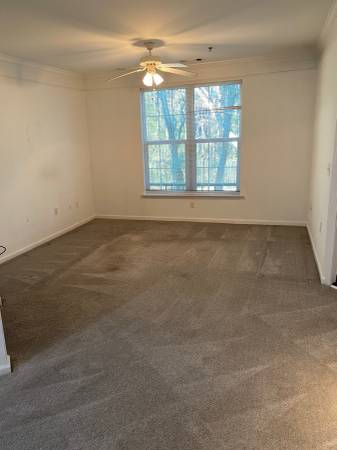 $2,600 / 2br - Beautiful & Private James Island Condo (James Island)64016105645826121