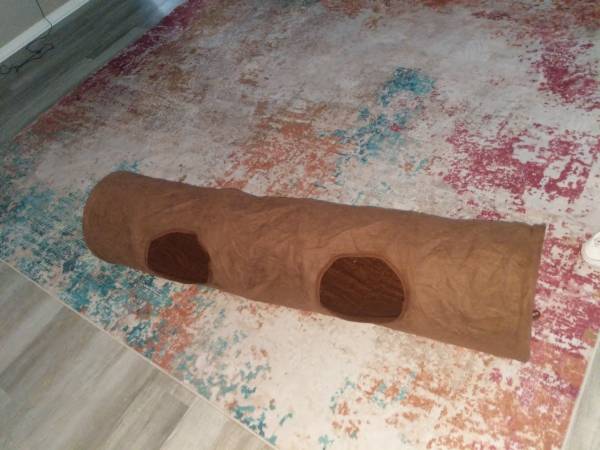 Cat tunnel 1