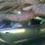 Sonoma County Tree Services - SONOMA CO/NORTH BAY, NAPA CO, MARIN CO. 3 thumbnail