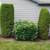 🏡 Gregorio Landscaping — Landscaping, Roofing & Remodeling Experts 🏡 2 thumbnail