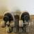 Sure Grip Boardwalk Roller Skates With Accessories 3 thumbnail