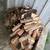 Firewood 3 thumbnail