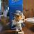 5 Trenton thunder Andy pettite mini bobbleheads 1 thumbnail