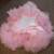 Tutu Dress - Size 12 months 2 thumbnail