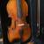 Hofner Bubenreuth Viola 1964 - 15.5" + Carbon Case, BAM Straps + Bow 5 thumbnail