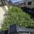 Bautista Landscaping (619)608-4520 23 thumbnail