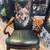 Custom steampunk whimsical leather designer chairs!! 11 thumbnail