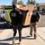 Arizona Hauling Junk Removal —Reliable, Professional, Efficient 8 thumbnail