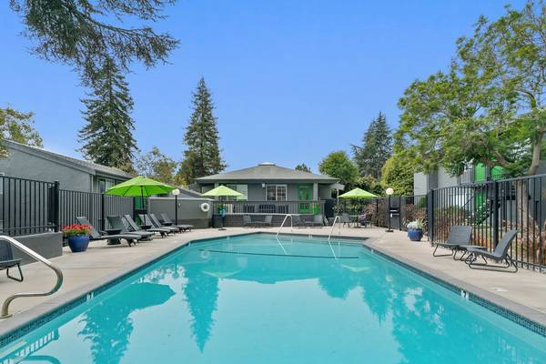 $2,960 / 1br - 450ft2 - Piso de Madera, Techos Elevados, Estaciones para Mascotas (santa cruz)63667994769283122
