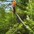 Tree Removal & services-Spring deals are coming to an end-FREE QUOTES 20 thumbnail