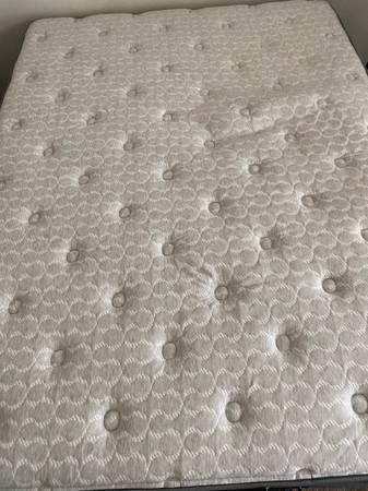 Queen Sized Adjustable Bed 1