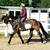 Expert Mobile Riding Lessons Brought to Your Barn! (English & Western) 5 thumbnail