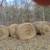 5x5 Round Bales For Sale 1 thumbnail