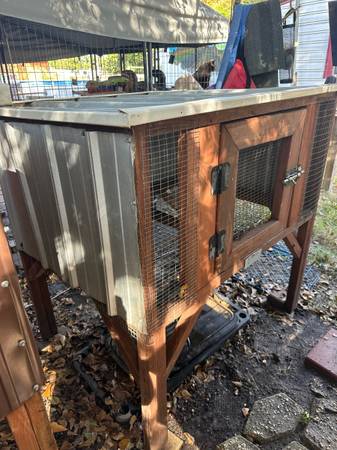 Rabbit/Small animal hutch 1