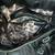 Large black B Makowsky purse with dust bag 4 thumbnail
