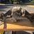 John Deere Hydrostatic Transaxle 1 thumbnail