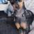 Missing Min Pin 1 thumbnail