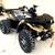 Quads ATVs Cuatrimotos 4 wheel drive 4x4 & 2x4 available! Gas/Electric 6 thumbnail