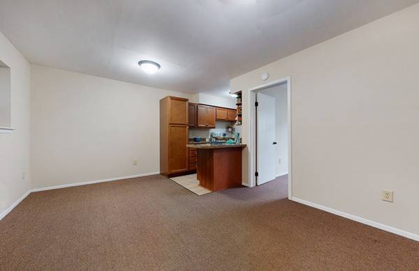 $960 / 1br - 550ft2 - 1 bedroom in walking distance to all Bucktown has to offer! (Metairie)63792146054019121